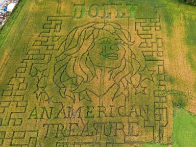 Source-feed image associated with Dolly Parton corn mazes crop up in fields nationwide