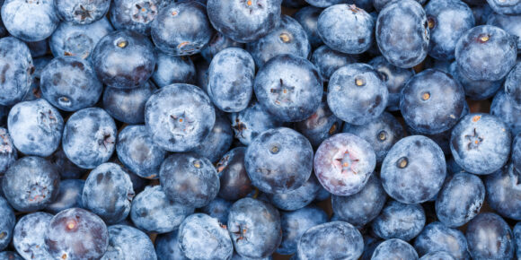 Image from linked report: Florida Widower Sues Publix, Says Recalled Blueberries Caused Wife’s Death in June