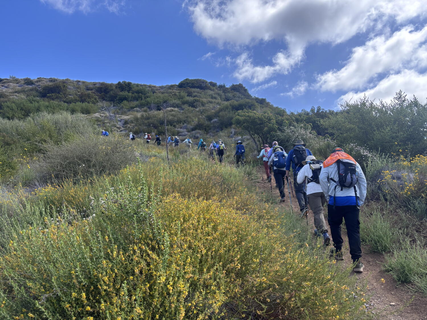 Image from linked report: As Santa Ana winds bear down, officials shutter parks to avoid sparking a fire: Here's what's closed