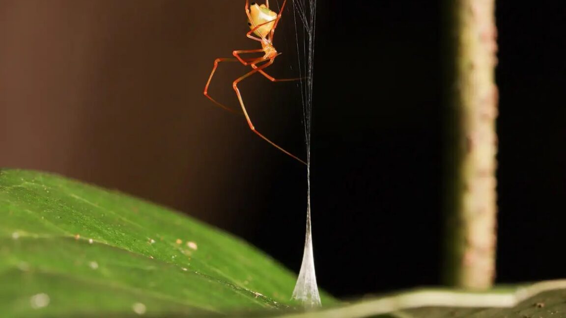 Source-feed image associated with June research roundup: 6 cool science stories we almost missed