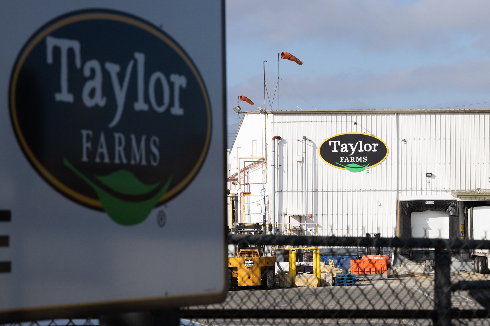 Source-feed image associated with California-Based Taylor Farms Recalls Lettuce Shipped to 27 States Over Cyclospora Risk