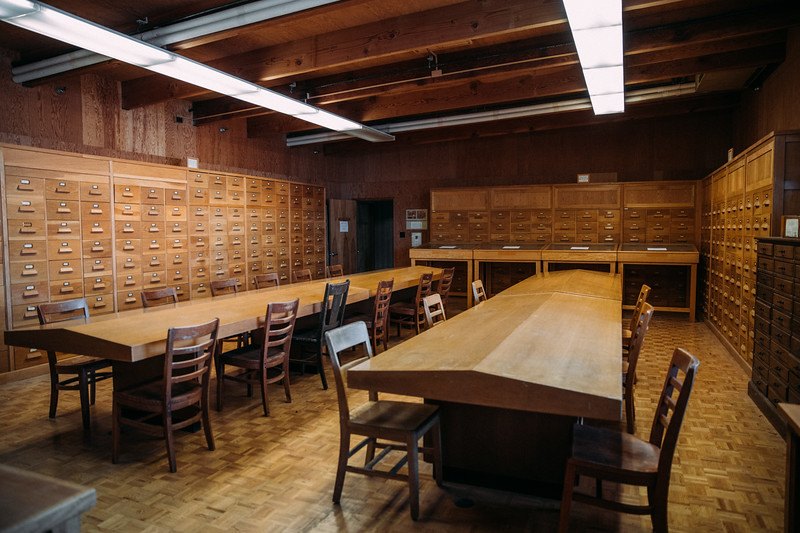 Image from linked report: The art show at the wood library