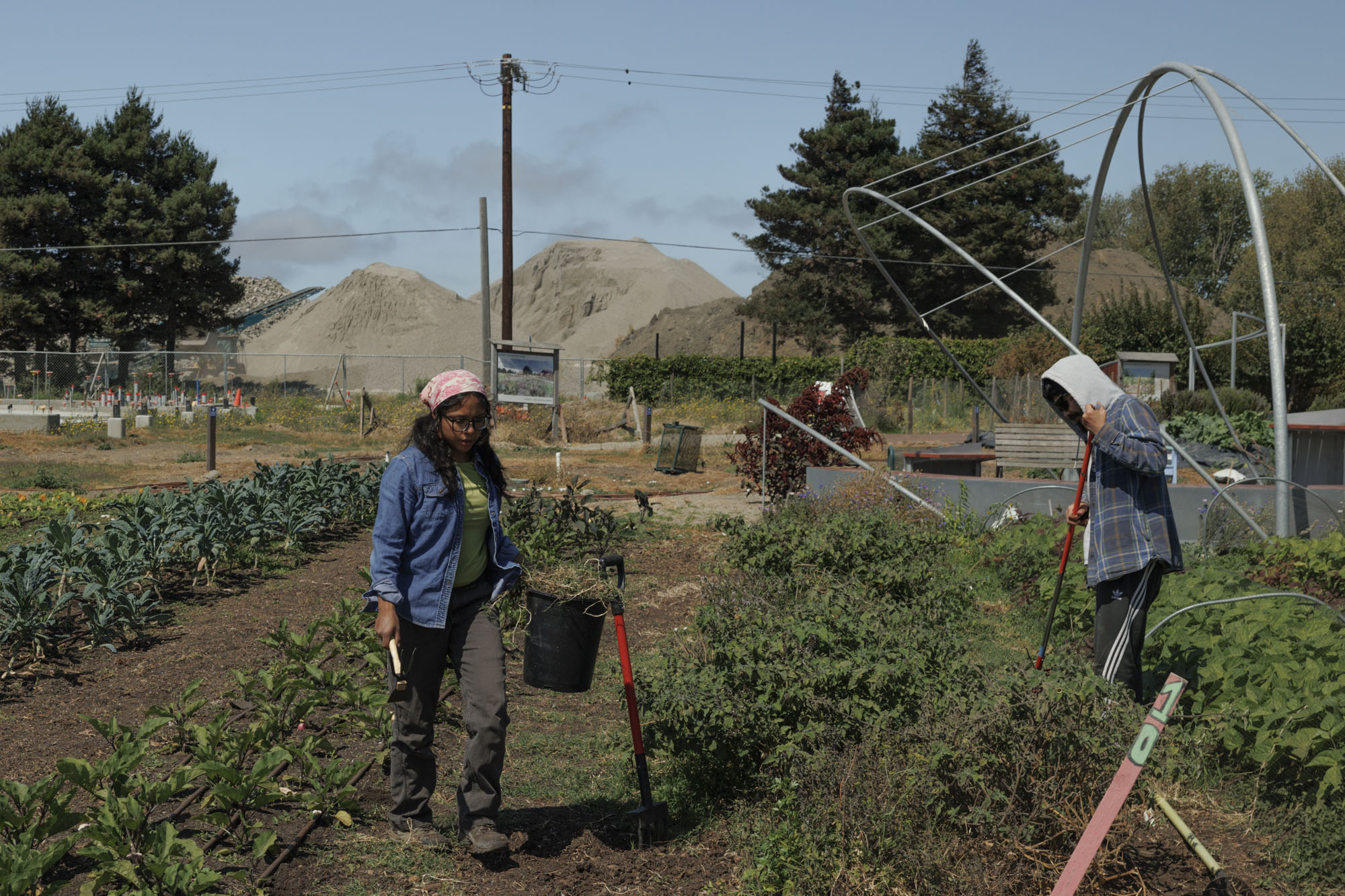 Source-feed image associated with A North Richmond Farm Expands Food Access as CalFresh Cuts Deepen Hunger in East Bay