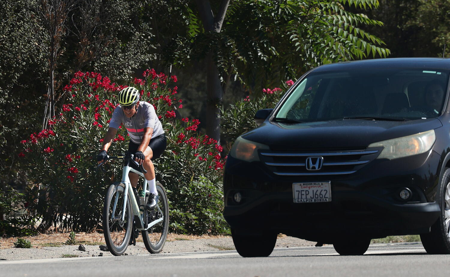 Source-feed image associated with Planned bikes lanes on Forest Lawn Drive targeted in last-minute language added to bill