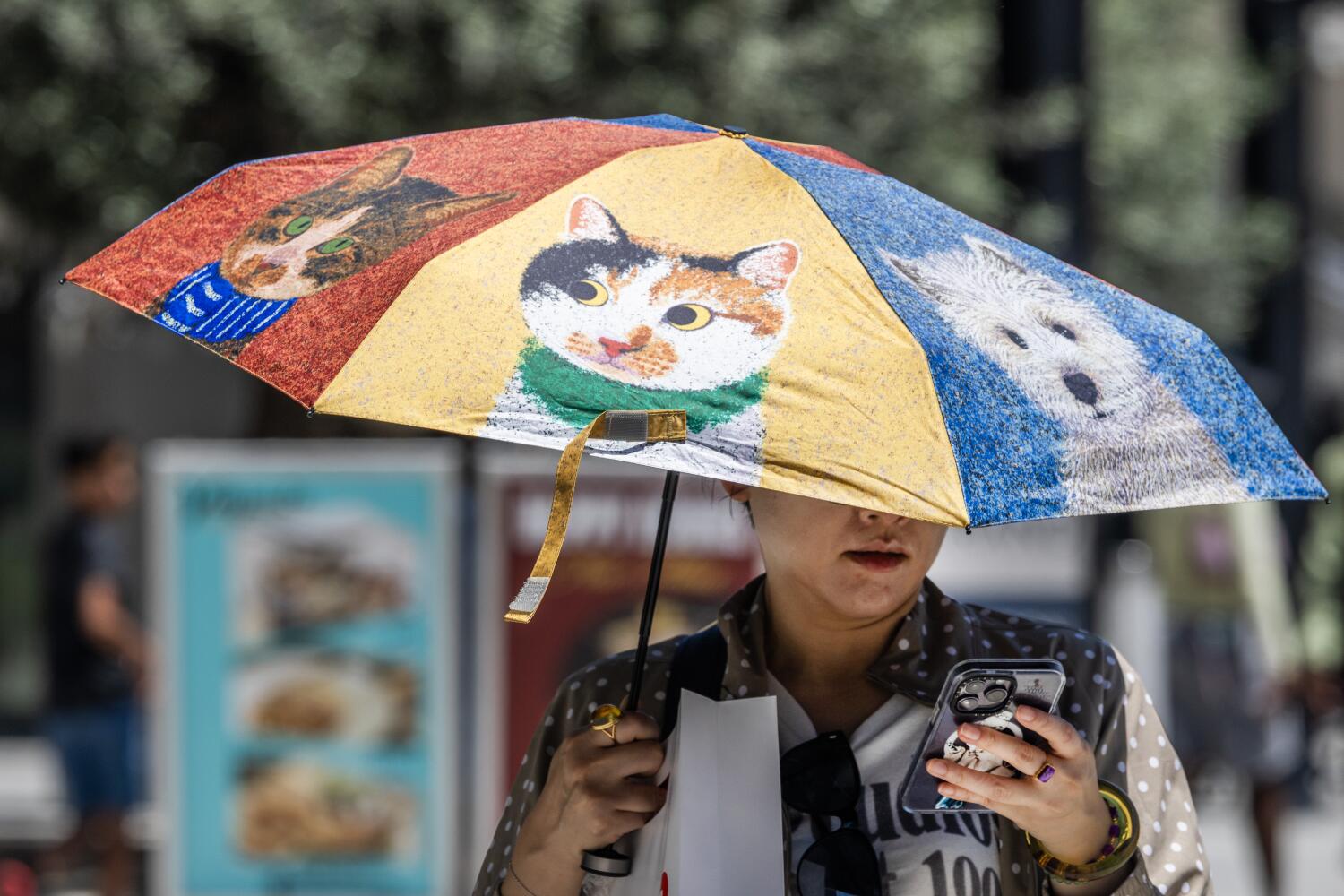 Source-feed image associated with This SoCal heat wave could be hottest of the year: 5 things to know