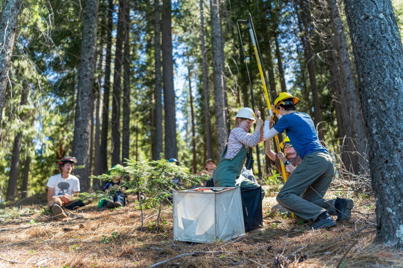 Source-feed image associated with California can’t replant its forests fast enough to keep up with wildfires