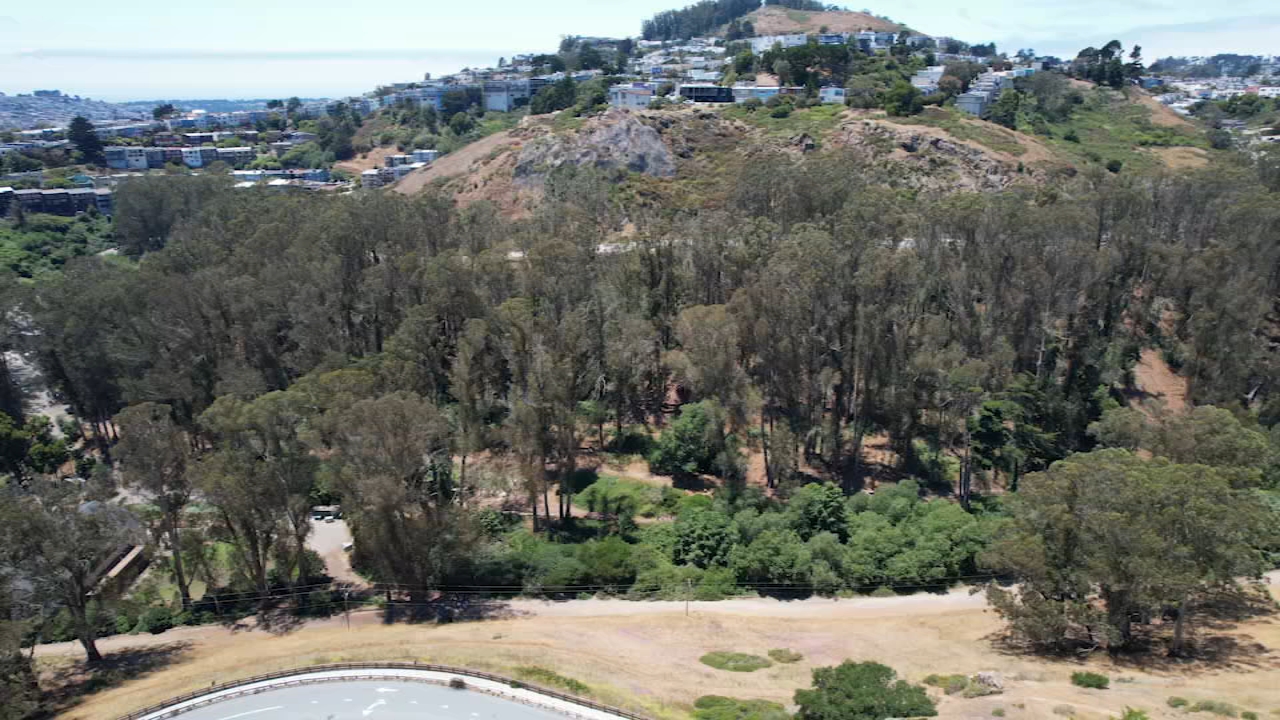 Source-feed image associated with Civil grand jury report warns of wildfire risk at SF's Glen Canyon Park