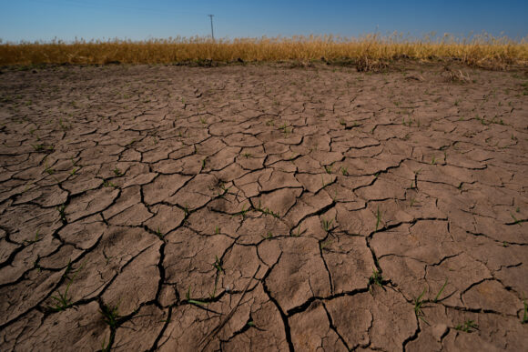 Source-feed image associated with El Nino Is Here and Scientists Fear It’ll Bring Costly Heat, Floods, Droughts, Fires
