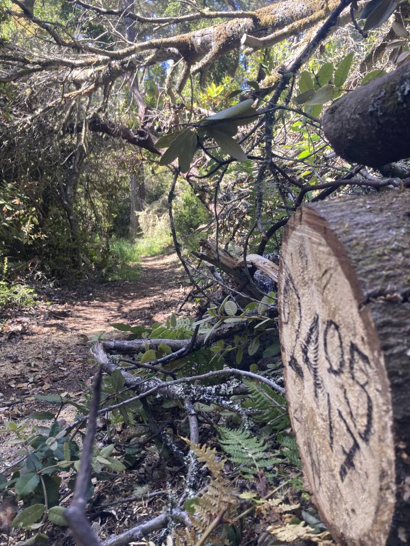 Source-feed image associated with The History Behind Some of California’s Hidden Gems