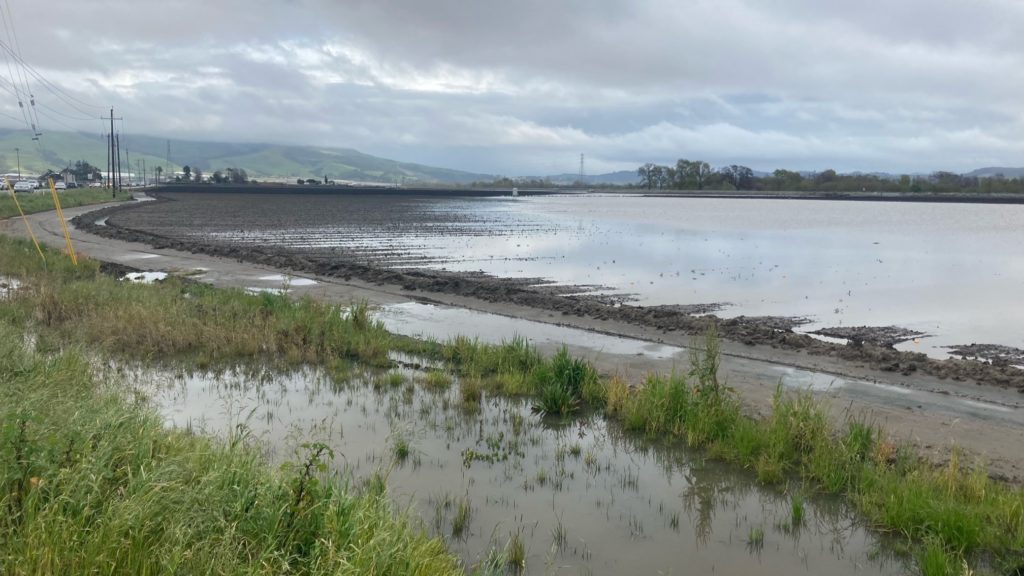 Source-feed image associated with Pajaro Valley prepares for natural disasters after mass flooding in 2023