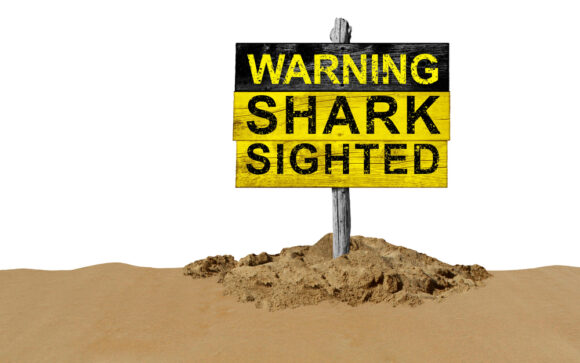 Source-feed image associated with Shark Attack on Alabama Teen Inspires Start of National Alert System