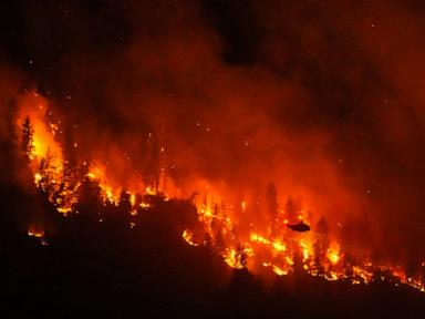 Source-feed image associated with Climate change contributed to Canada fires, study says as Trump blames mismanagement