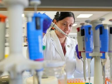Source-feed image associated with Tools to fight hantavirus show promise despite limited funding. Now researchers hope to continue
