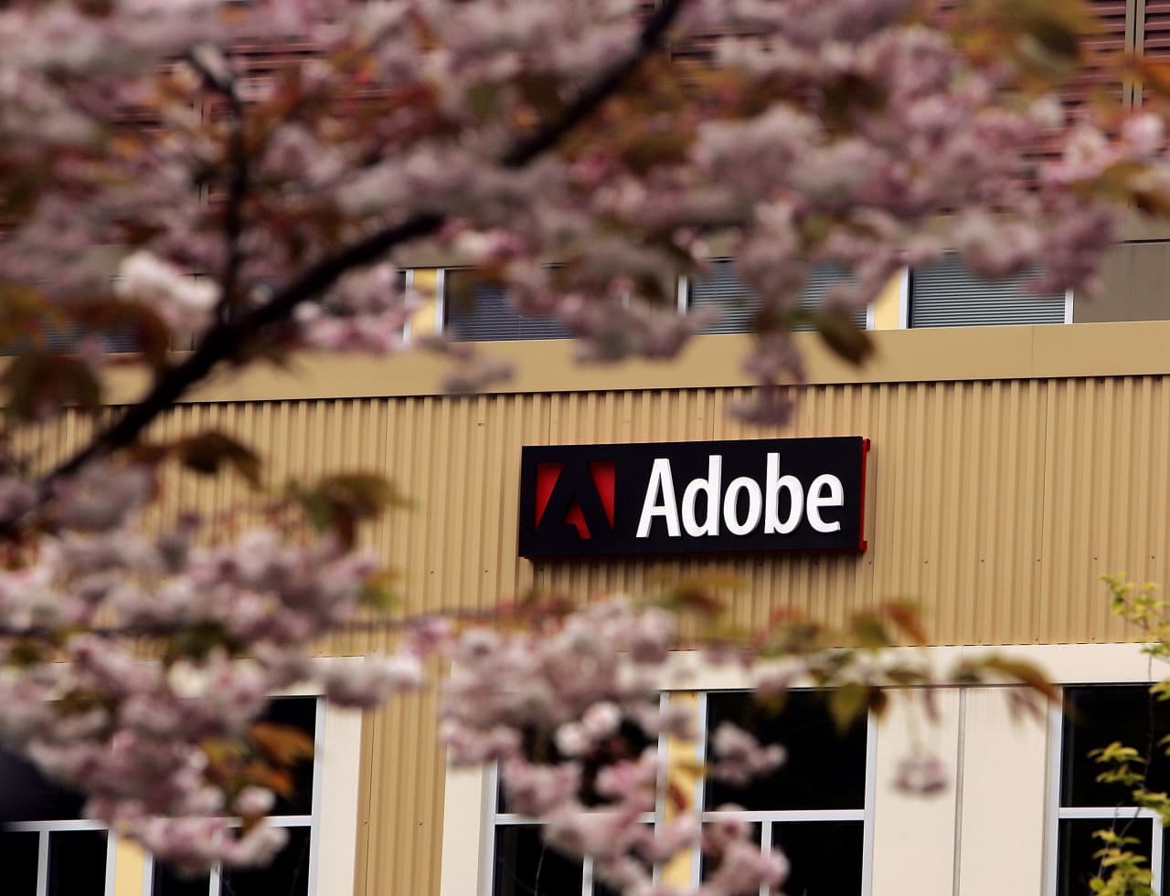 Source-feed image associated with Adobe’s stock is temptingly cheap. Should investors bite?