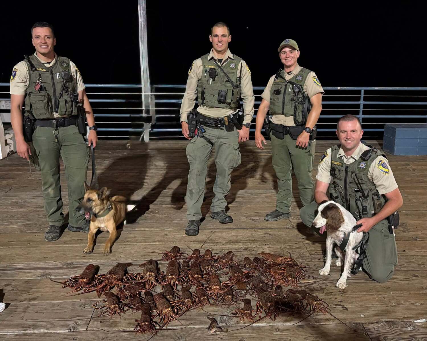 Source-feed image associated with Lobster poachers pinched in Santa Monica; crustaceans stuffed in bags, backpacks, a baby stroller