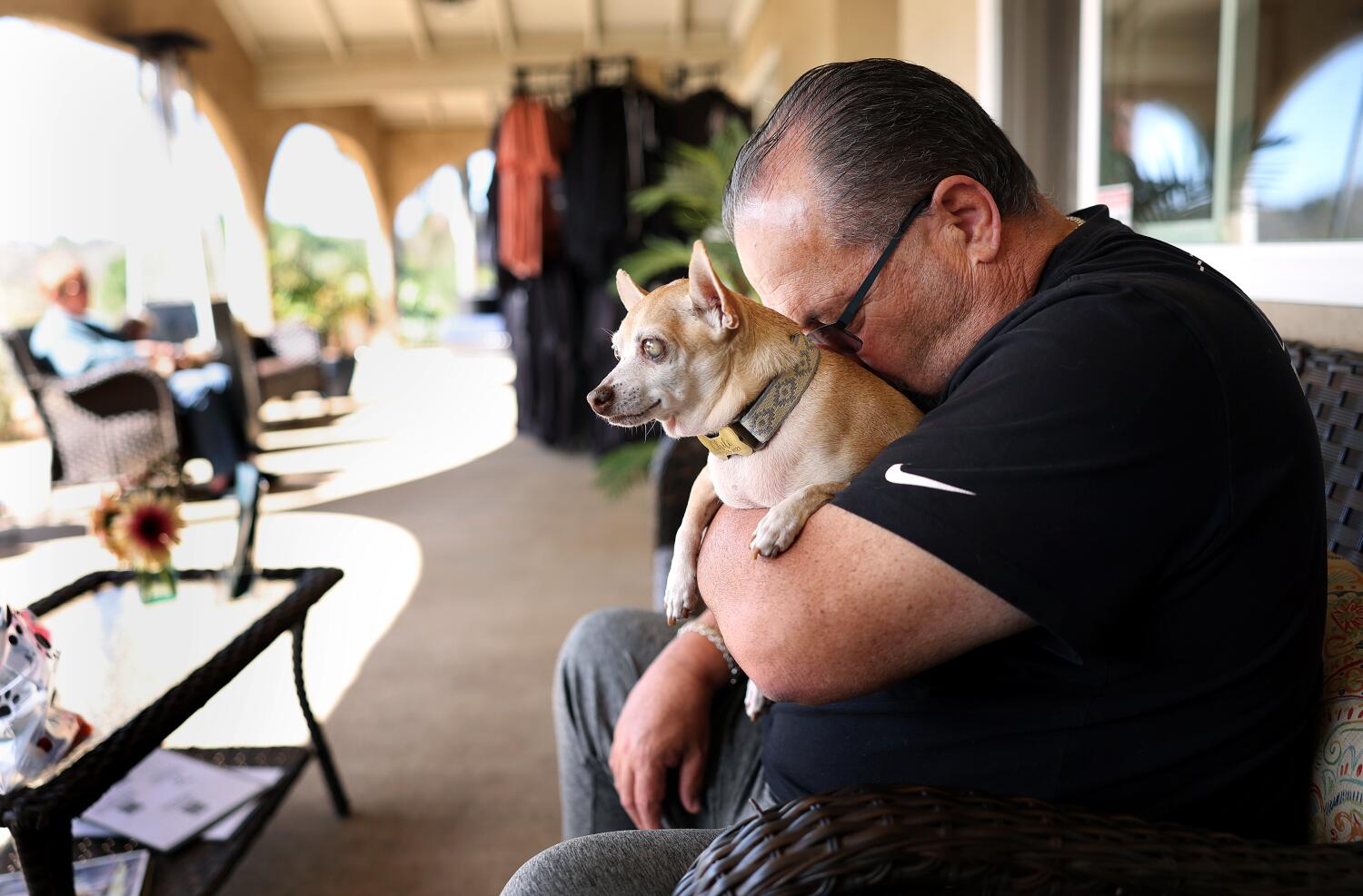 Source-feed image associated with Arellano: The joy and heartbreak of adopting a senior dog