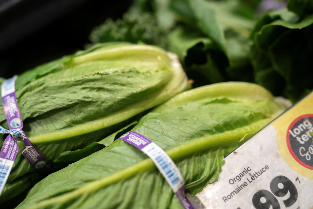 Source-feed image associated with Cyclospora and salmonella outbreaks raise concerns about U.S. food safety