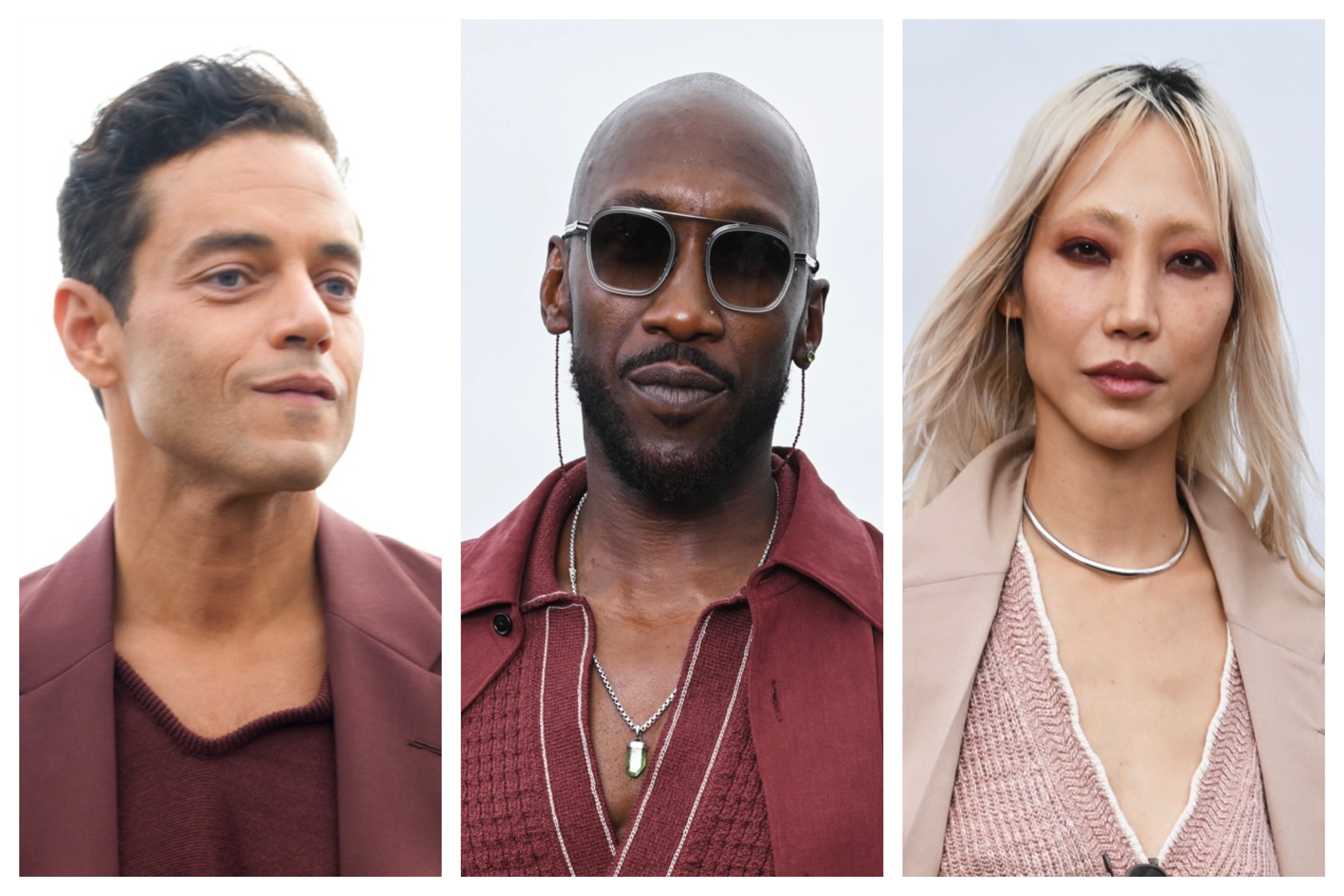 Source-feed image associated with Rami Malek, Mahershala Ali, Soo Joo Park and More Celeb Pics From the Zegna Fashion Show (PHOTOS)
