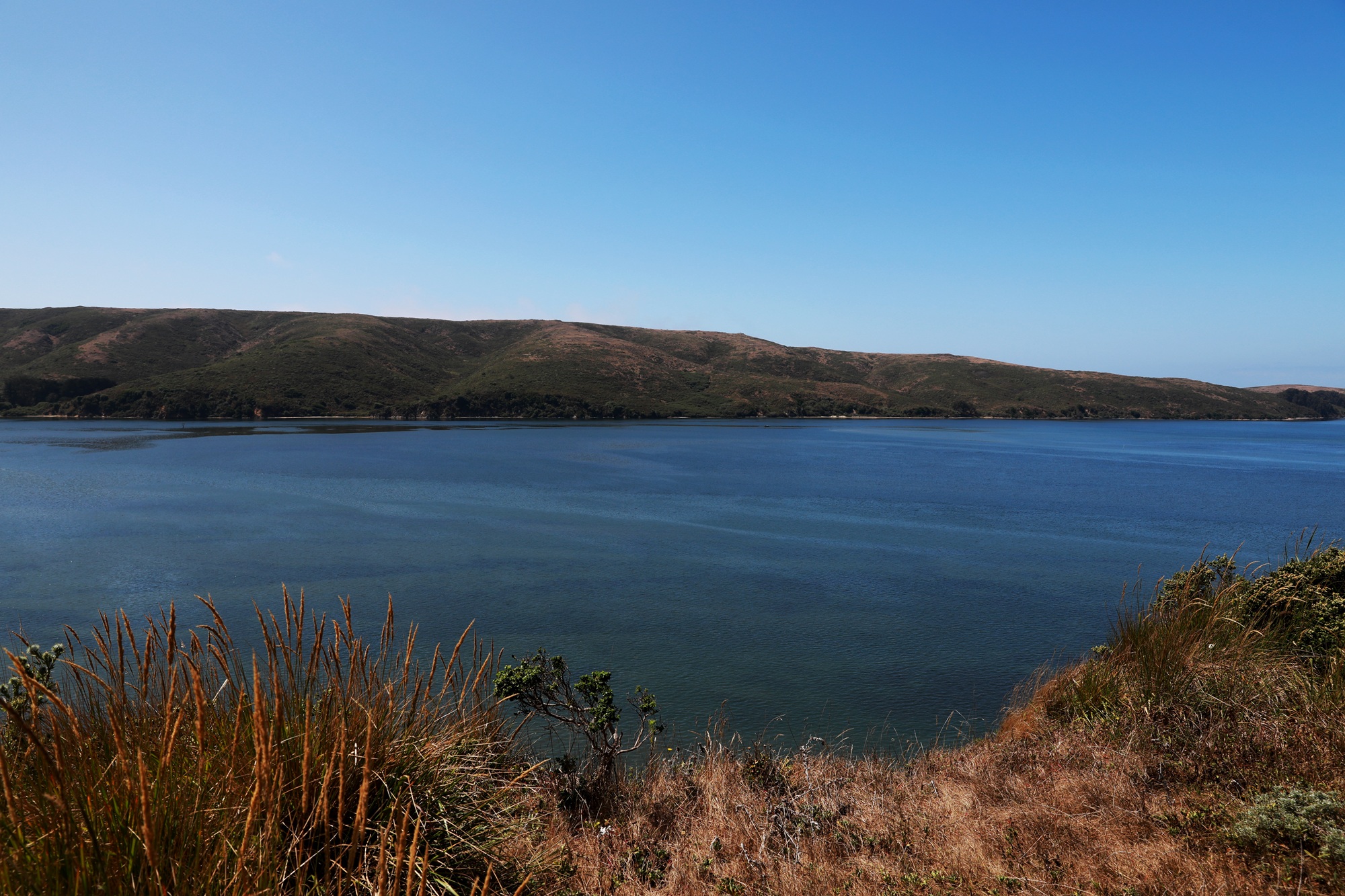Source-feed image associated with After 2 Canoeists Found Dead in Tomales Bay, Local Guides Advise Caution