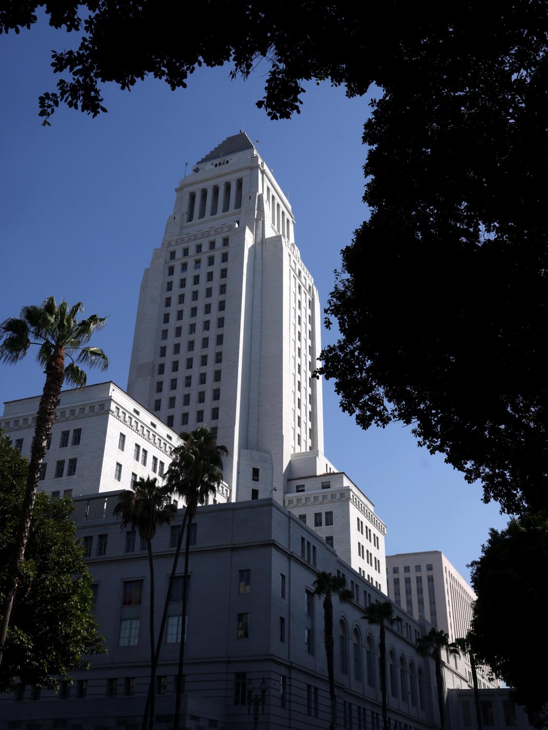 Source-feed image associated with Young man who apparently jumped from L.A. City Hall remembered as gifted baseball player