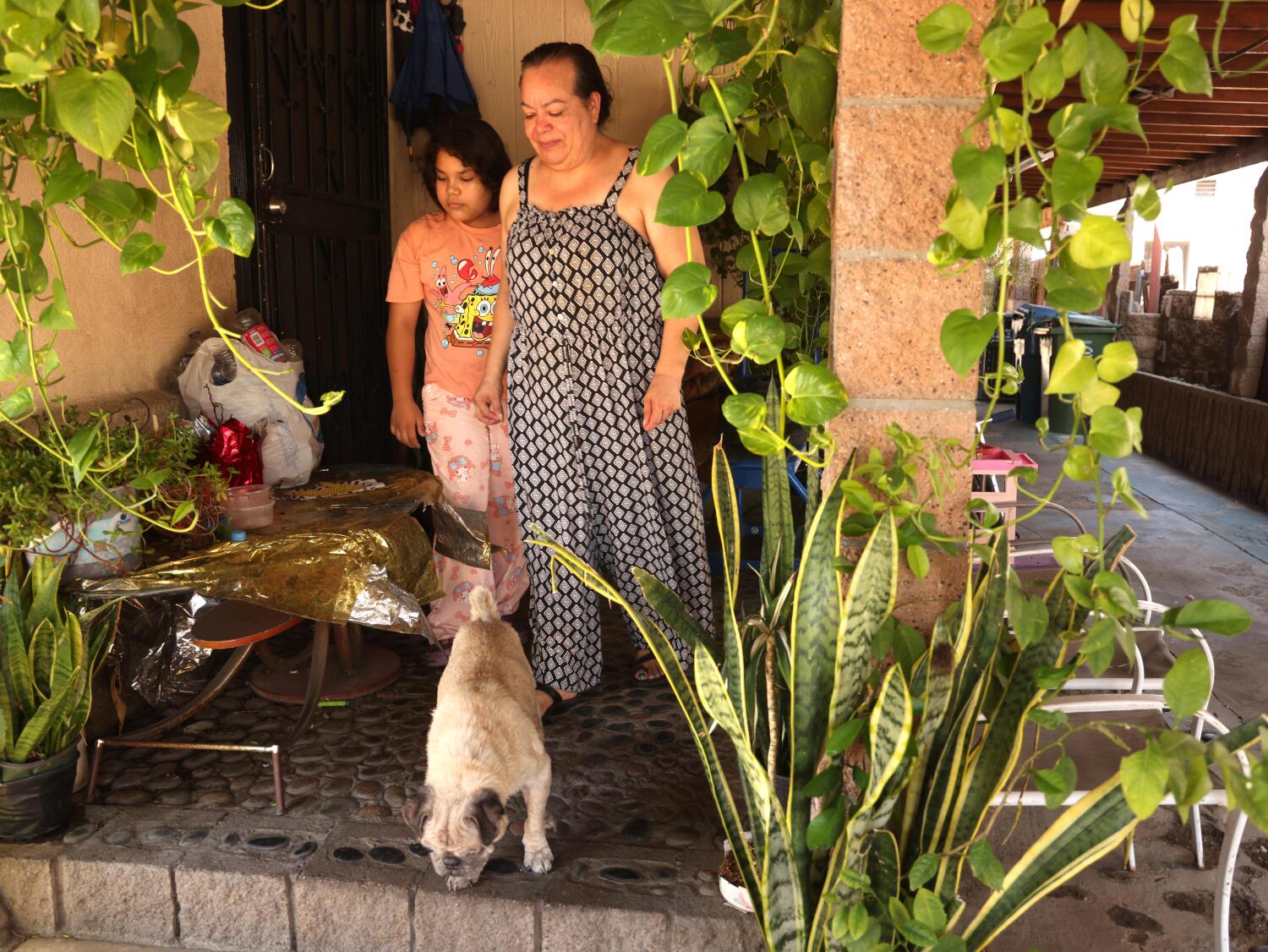 Source-feed image associated with Schools are set to reopen with rotting food, fly swarms and rats still causing havoc in Boyle Heights
