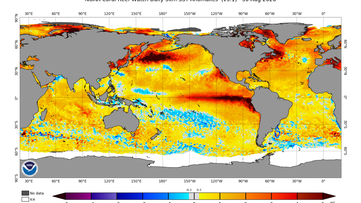 Source-feed image associated with El Niño is now stronger than at any point in the last 1,000 years, study finds