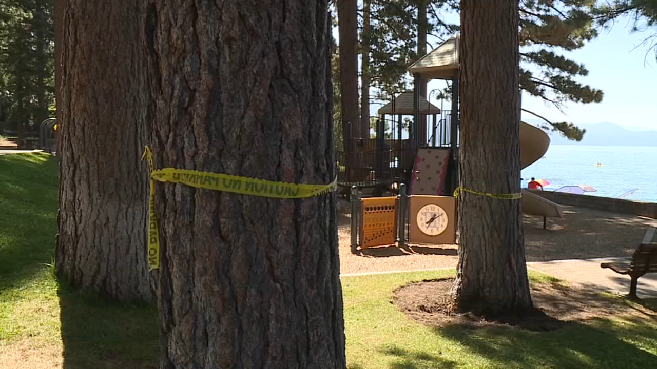 Source-feed image associated with Trees intentionally poisoned on Lake Tahoe beach, officials say