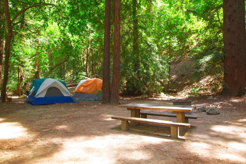 Source-feed image associated with California Has New Camping Cancellation Rules. Are They Working?