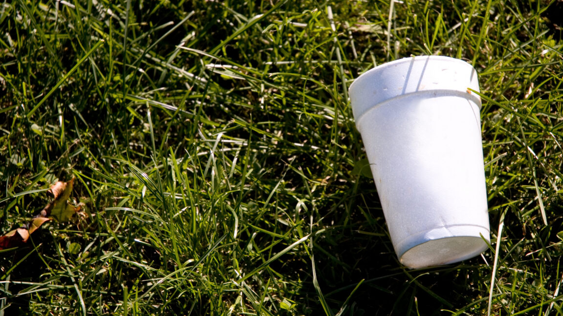 Source-feed image associated with Your empty cuppa could capture carbon