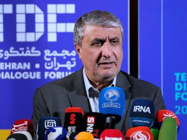 Source-feed image associated with Iran's nuclear chief not expected to attend IAEA General Conference, official says