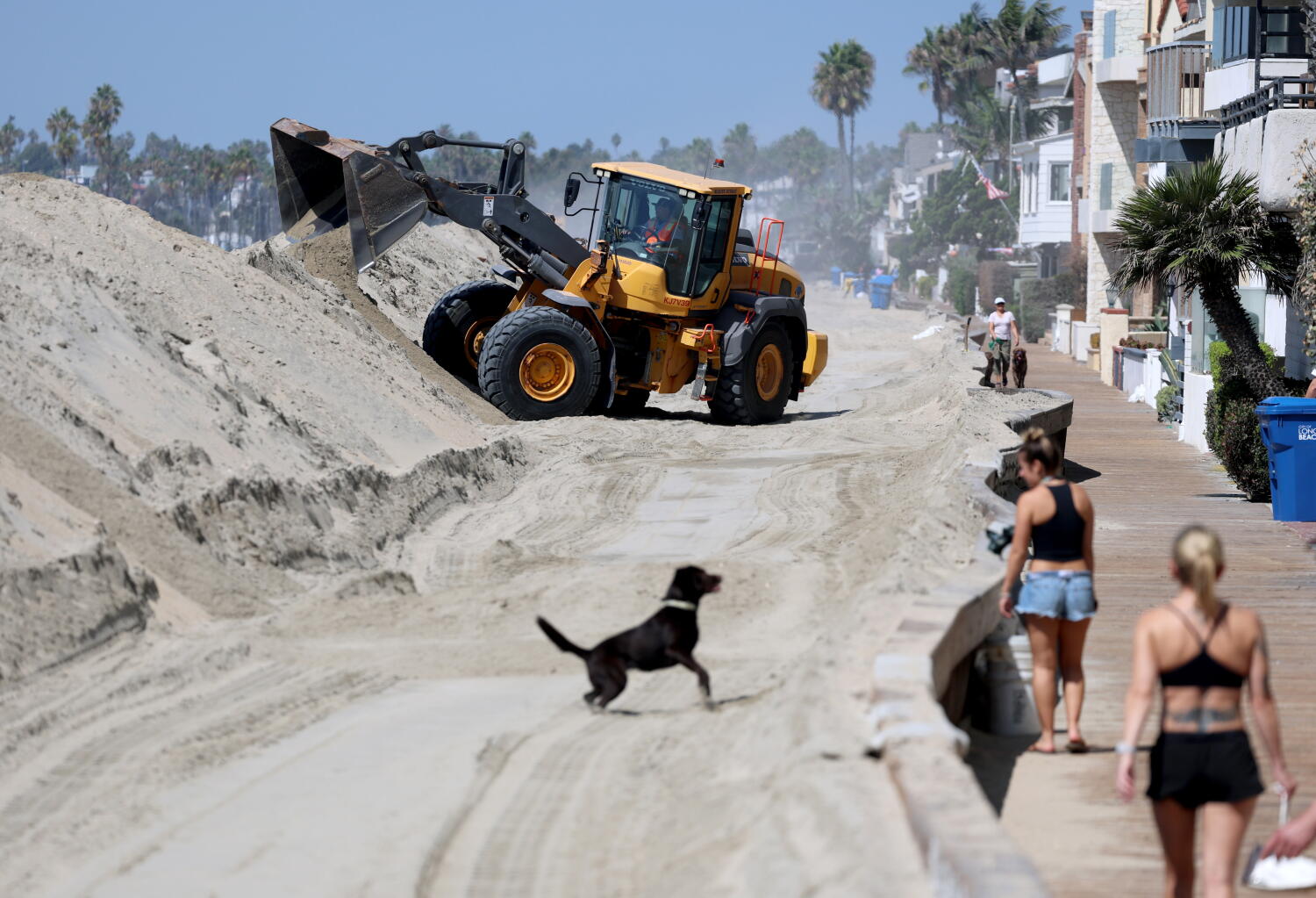 Image from linked report: Hurricane Polo is coming. Here's what it means for Southern California