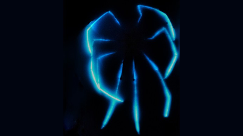 Source-feed image associated with These deep-sea spiders give off an otherworldly glow