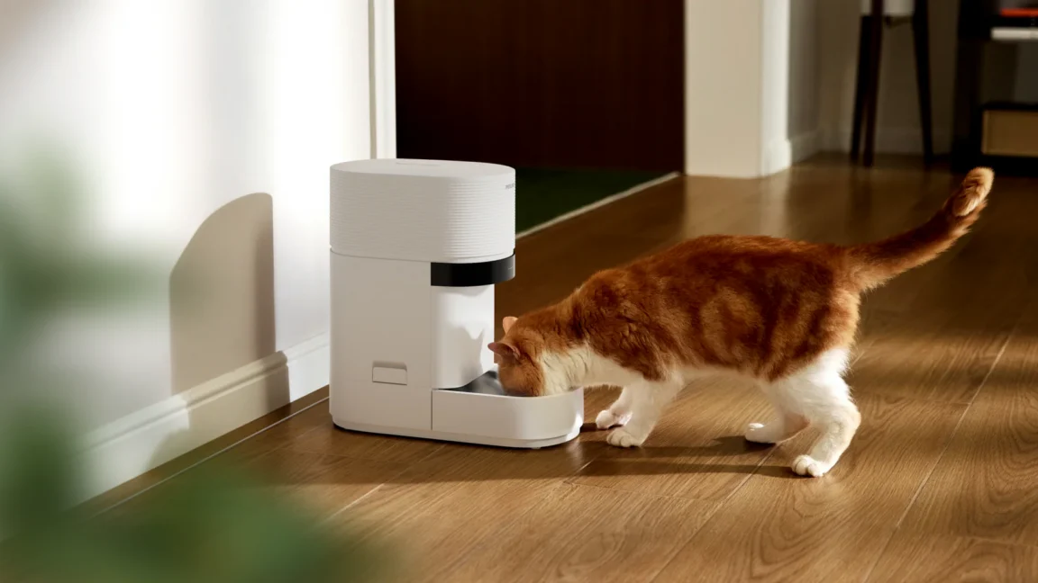 Source-feed image associated with Pet owners say smart pet feeder outage led to furry ones going unfed