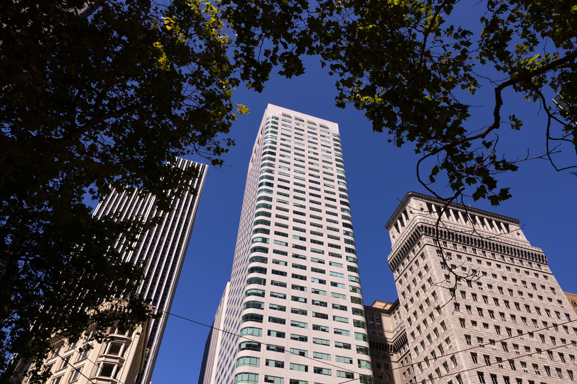 Source-feed image associated with Staff at the San Francisco-Based Foundation Behind Wikipedia Demand Union Recognition