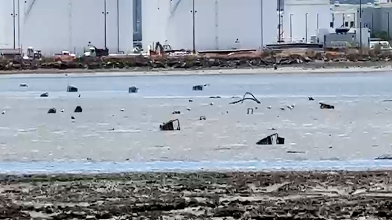 Source-feed image associated with Dozens of apparent shopping carts stuck in marsh along San Francisco Bay: 'How did they get there?!'