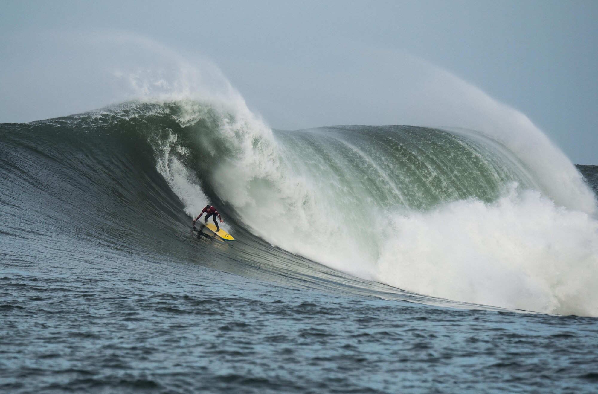 Source-feed image associated with A Viral Santa Cruz Beach Rescue Previews What’s to Come, Officials Say