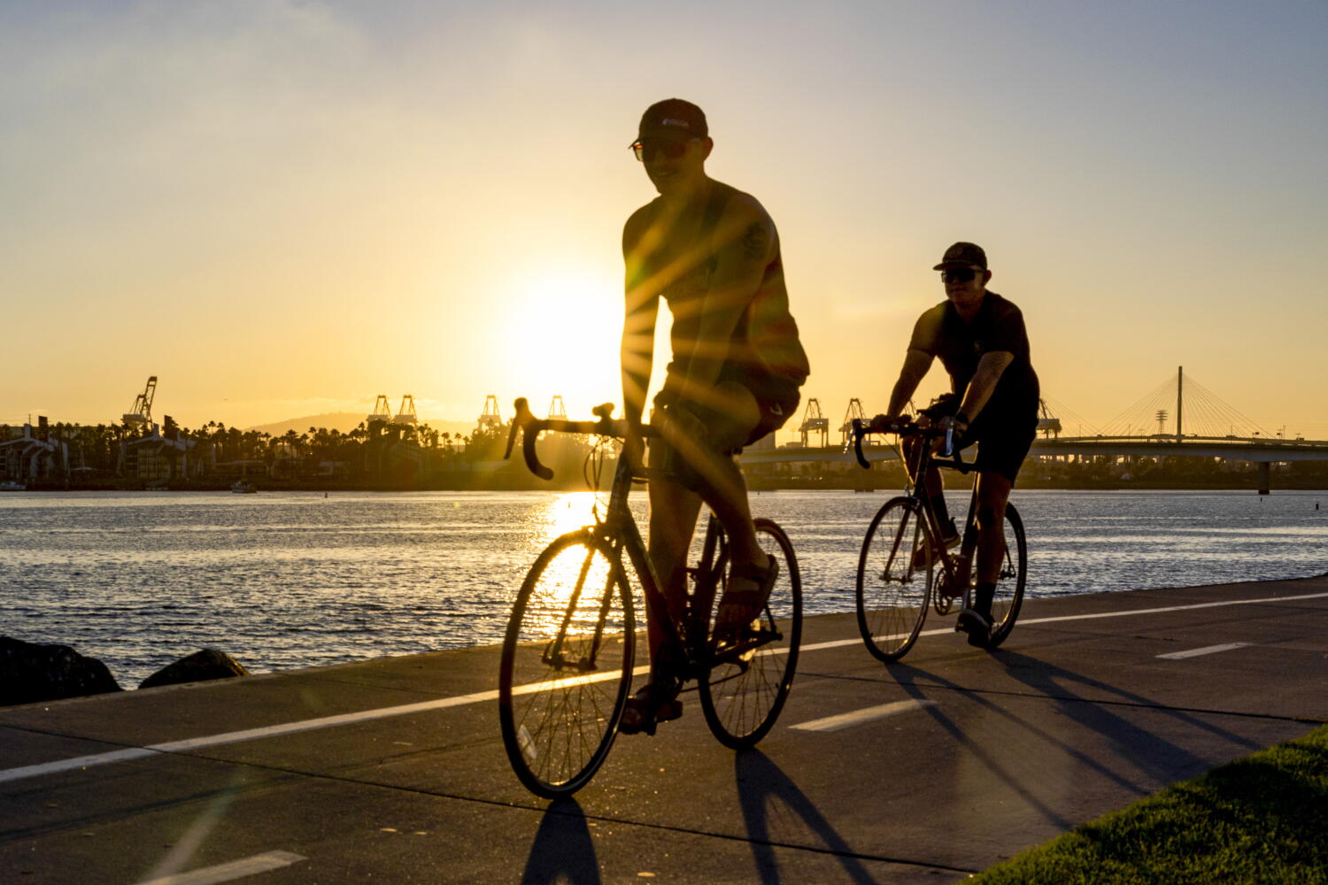 Image from linked report: Long Beach as the new Amsterdam? Bike lane boom sparks cheers, debate in the city