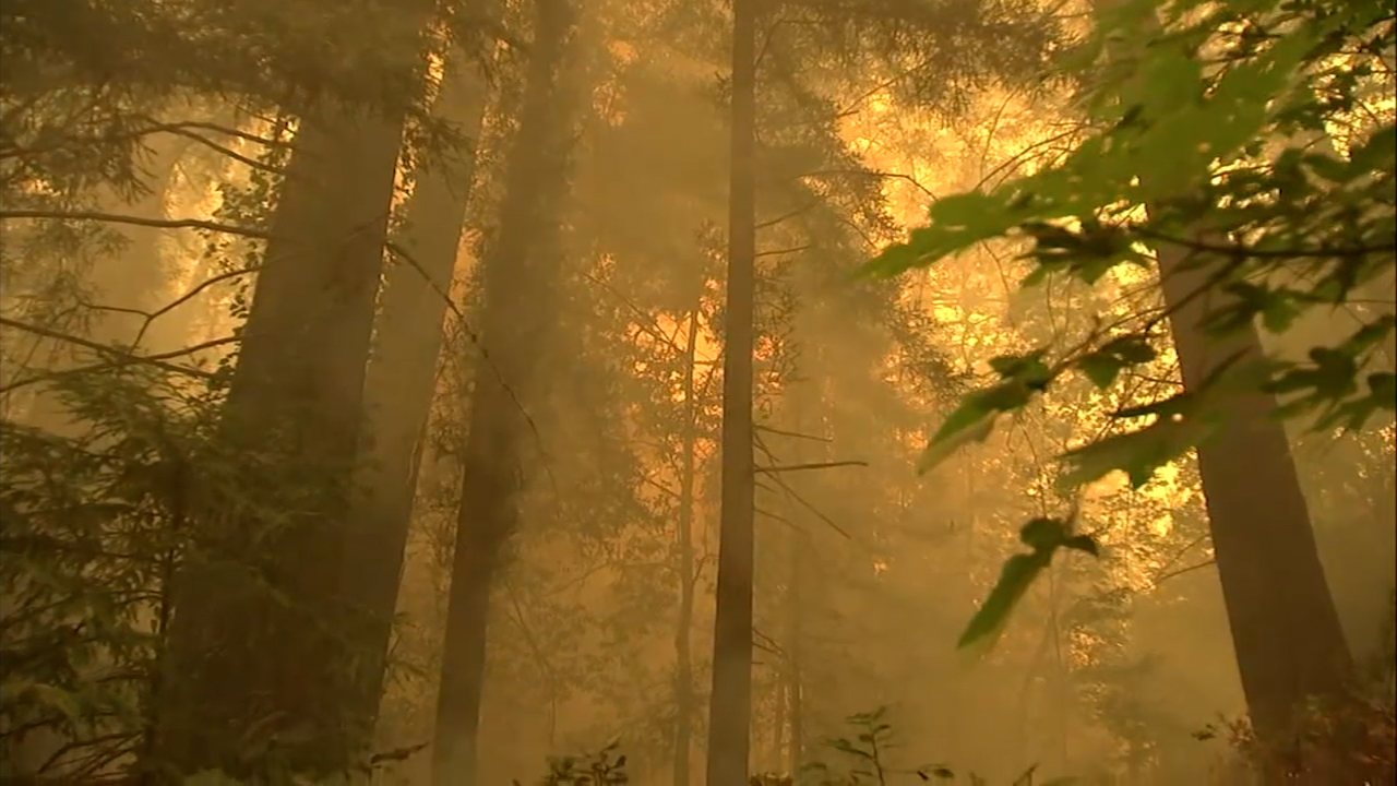 Source-feed image associated with Wildfire risk drives 84% spike in California home insurance costs in 5 years, Stanford study finds