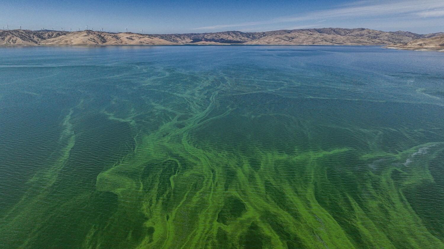 Source-feed image associated with Tons of planet-warming gases are bubbling up from reservoirs. California is going to keep track