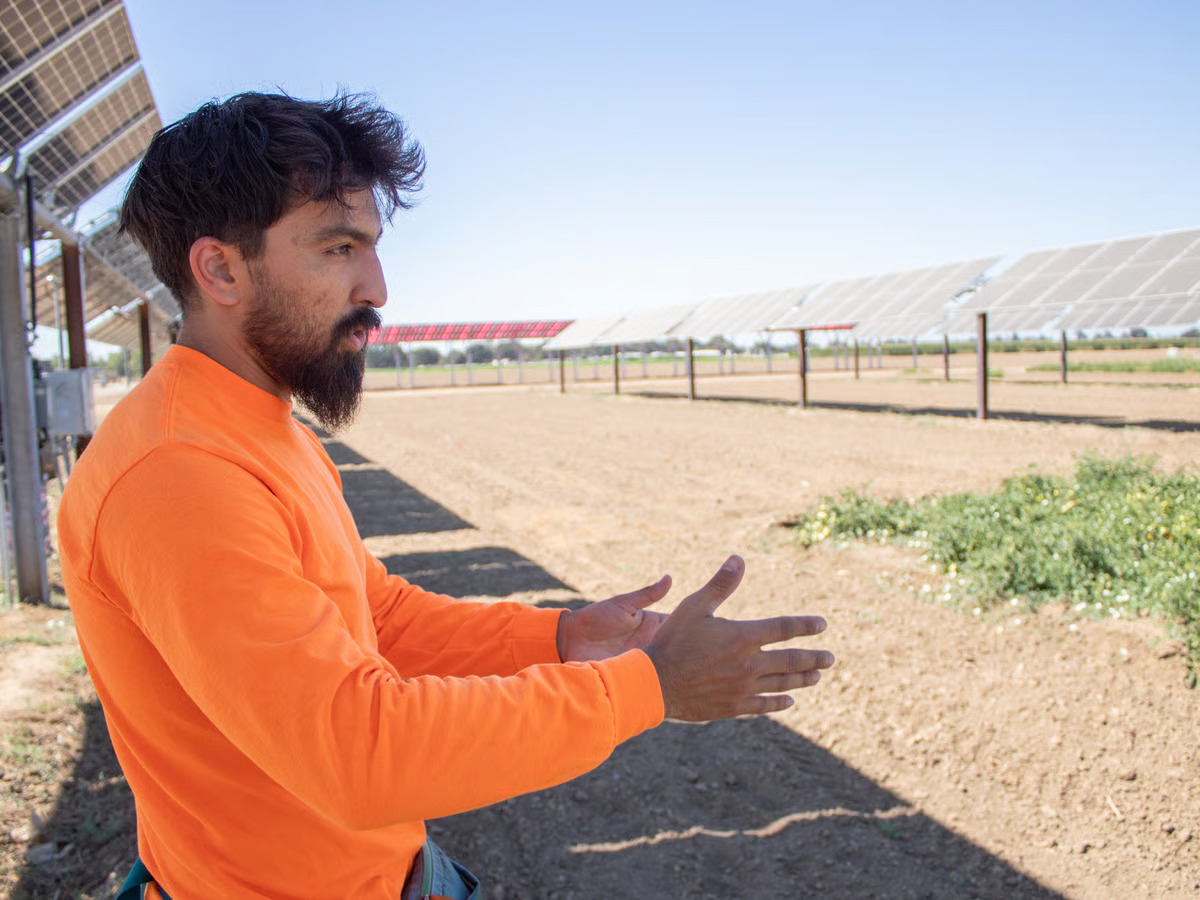 Source-feed image associated with Can California farmers produce solar energy alongside food?