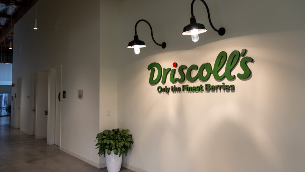 Source-feed image associated with Driscoll’s CEO steps down amid growing activist pressure on company for use of pesticides