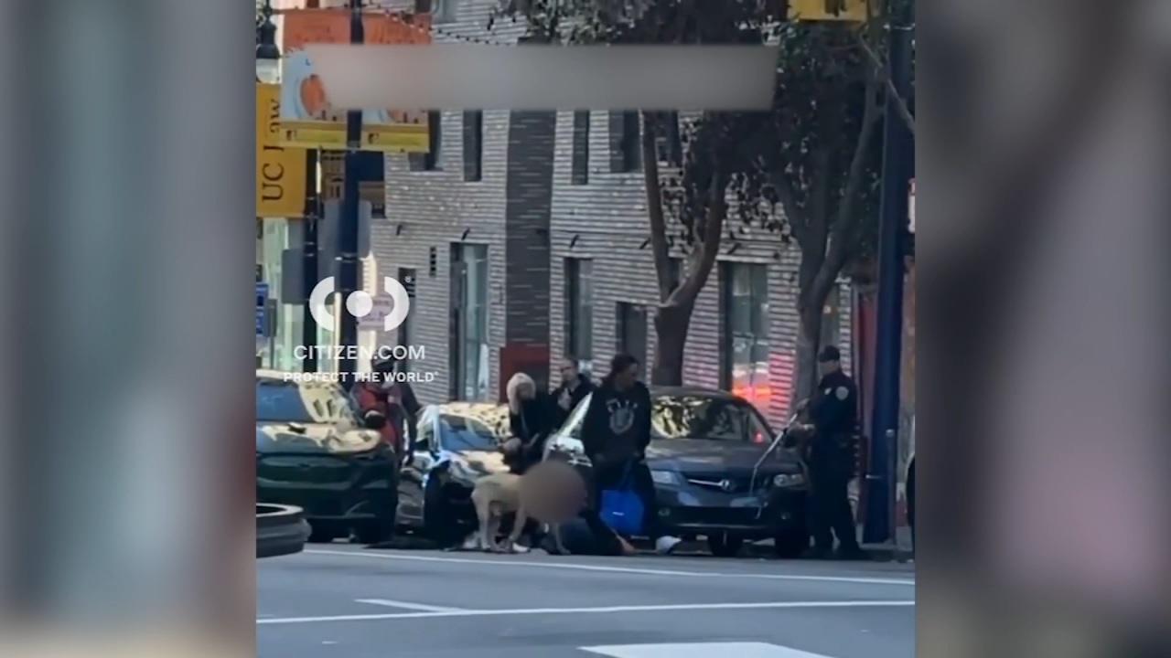 Source-feed image associated with SF looks to strengthen dog safety protocols following brutal Tenderloin pit bull attack