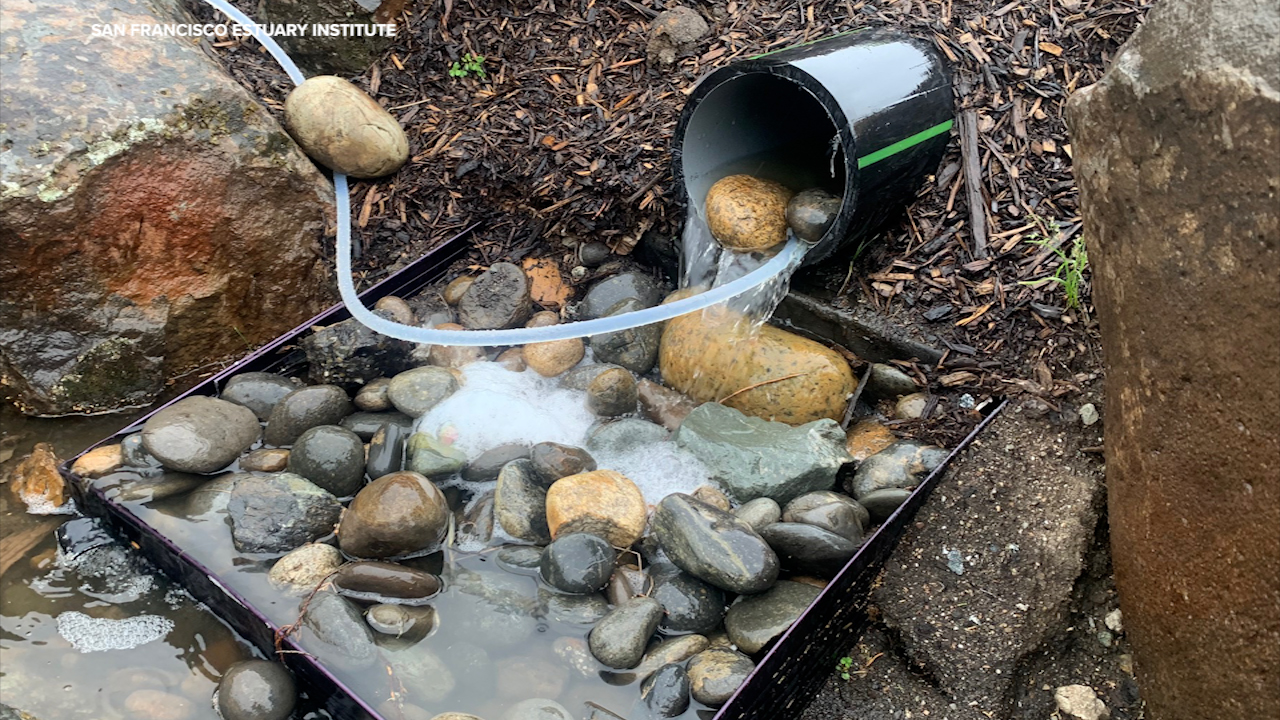 Source-feed image associated with Rain gardens can help filter out toxic pollution in Bay Area cities, new study shows