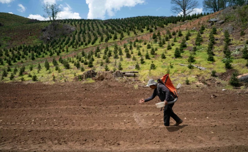Source-feed image associated with How a fertilizer shortage caused by the Iran war could affect US food prices