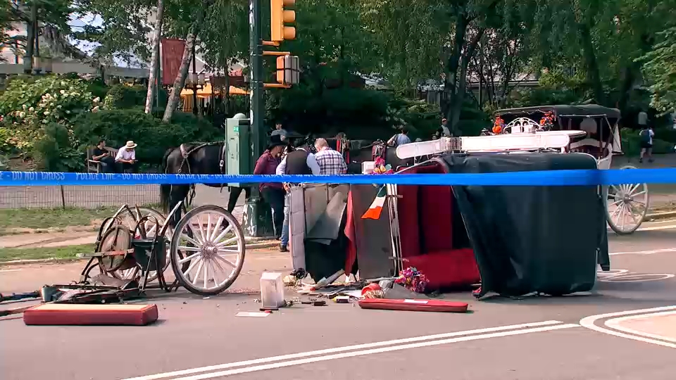 Source-feed image associated with Man tourist dies after carriage horse crash in New York City's Central Park