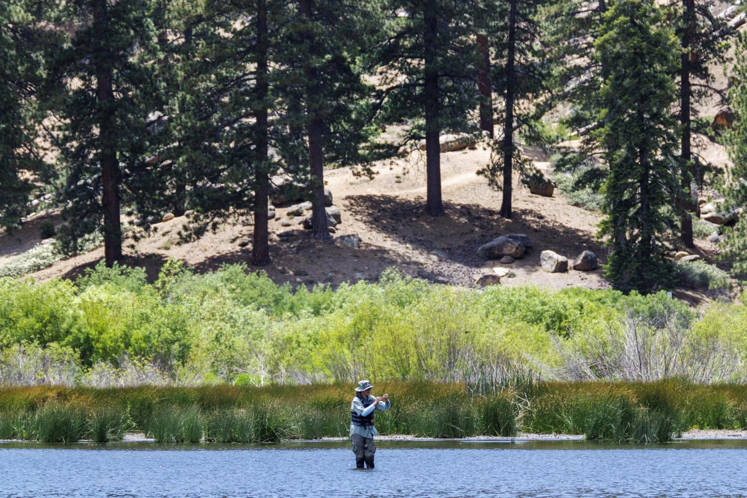 Source-feed image associated with Man goes missing while camping in Big Bear, found dead