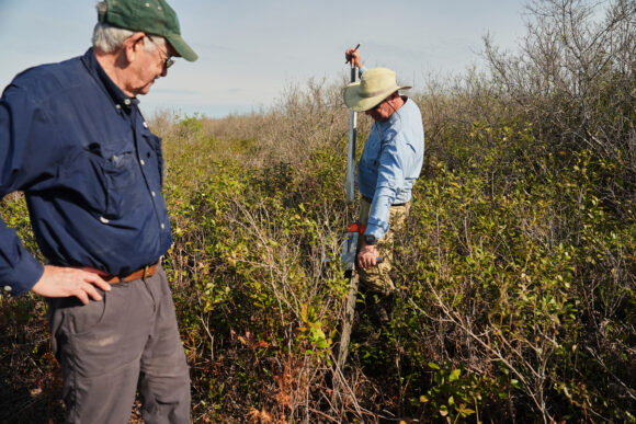 Source-feed image associated with Race is on in North Carolina to Restore Critical Peatland Before it is Gone