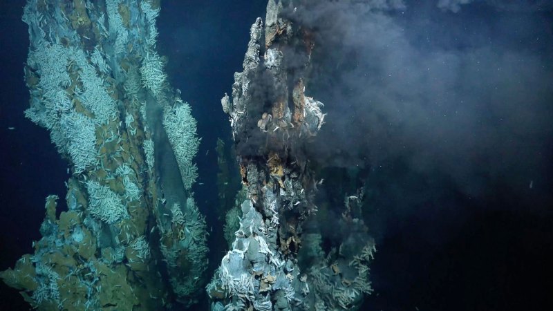 Source-feed image associated with Deep-sea snails ride surface currents to reach distant hydrothermal vents