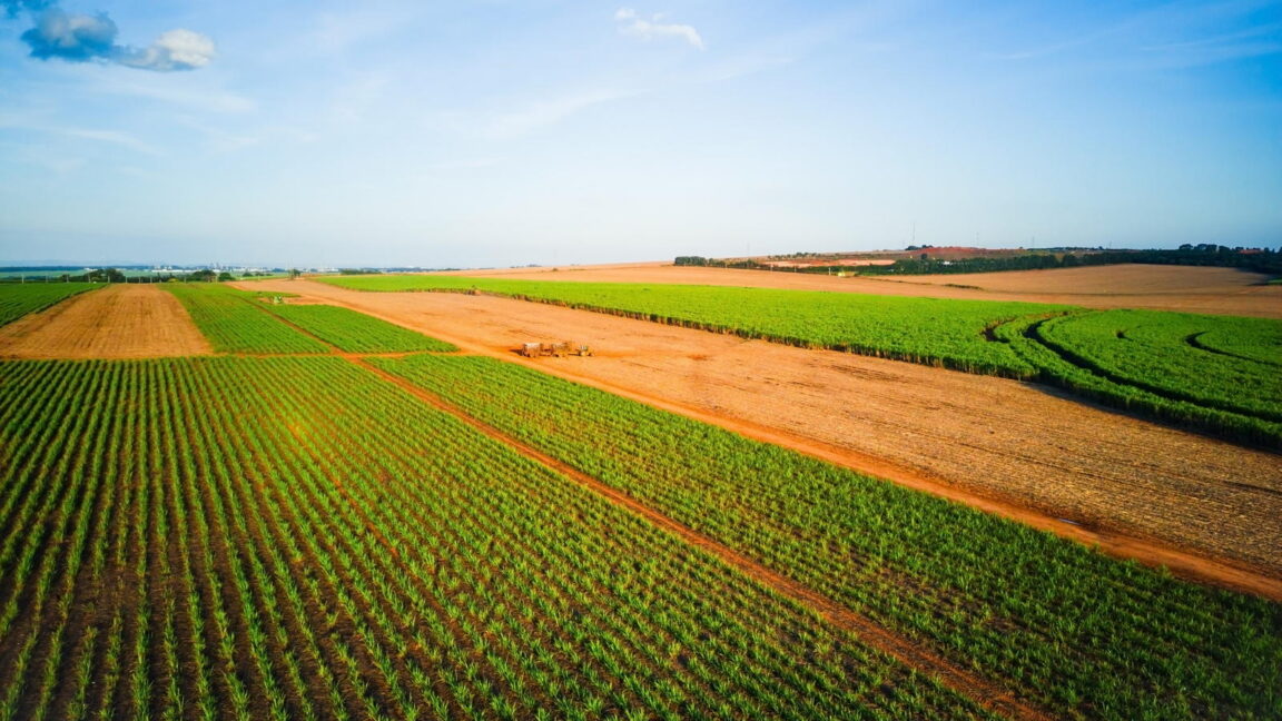 Source-feed image associated with Everyone pays the price as patent holders on seeds stifle innovation