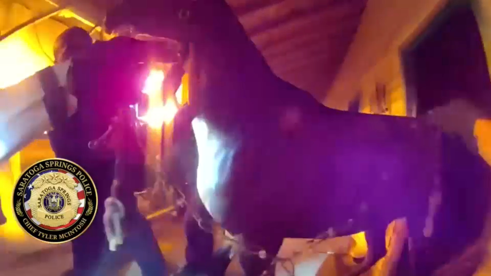 Source-feed image associated with Bodycam video shows officers rescuing horses from barn fire in Saratoga Springs